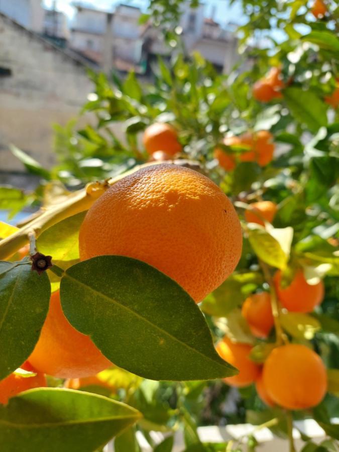 Orange Tree Apartment Asprovalta Bagian luar foto